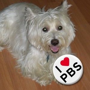 Meet your Posher, Carolynne